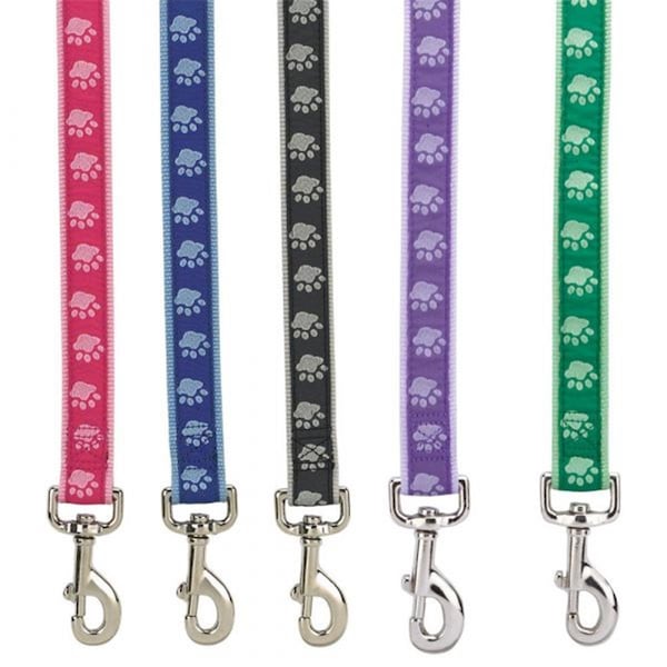 Casual Canine 4 ft. x 0.62 in. TwoTone Pawprint LeadGreen ZA8861 44 43 - main